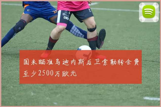 国米瞄准乌迪内斯后卫索勒转会费至少2500万欧元