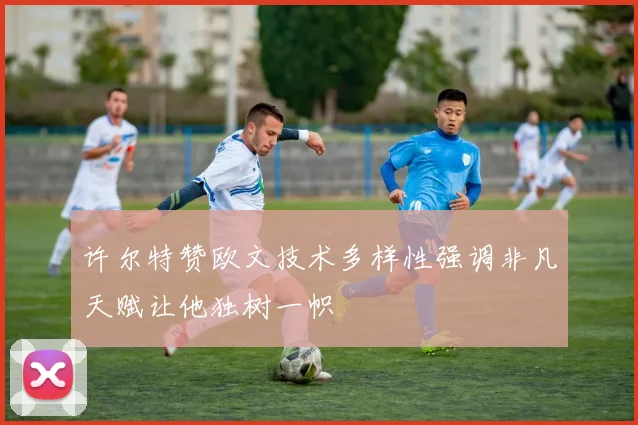 许尔特赞欧文技术多样性强调非凡天赋让他独树一帜